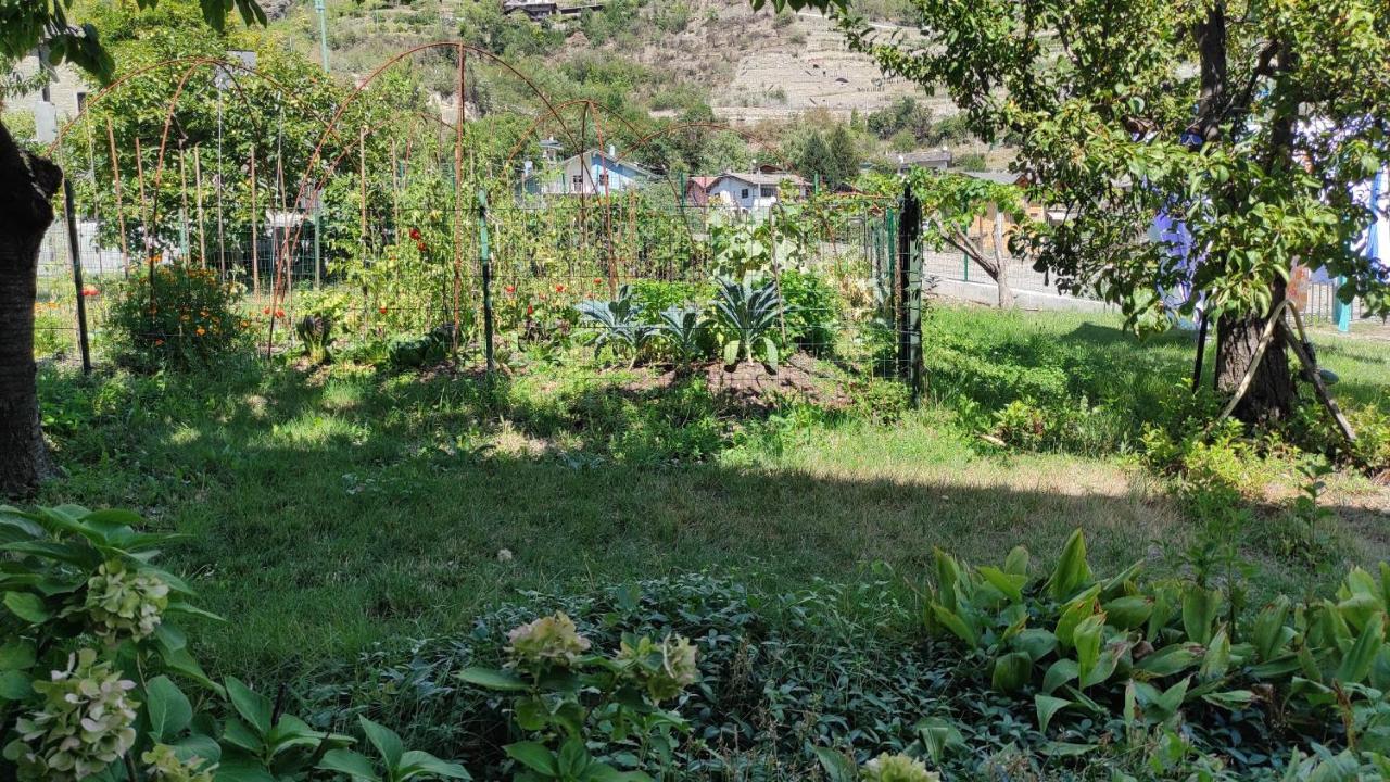 Casabella Silvana Sarre Zewnętrze zdjęcie